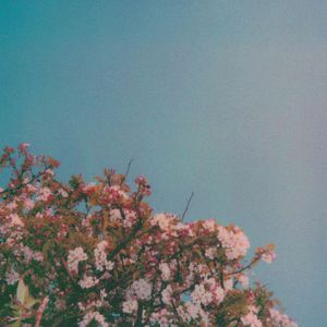 农村妇女看黄色片
